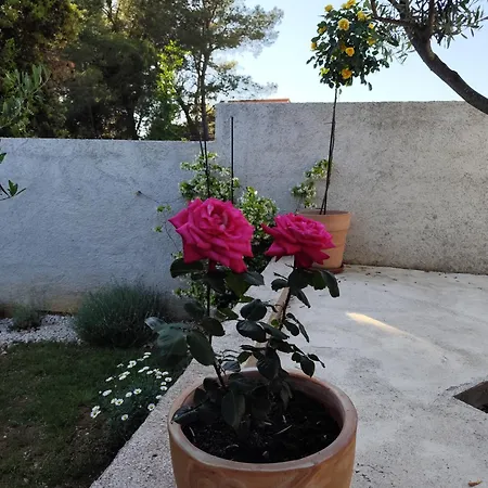 Mobile House Alba Appartamento Bibinje