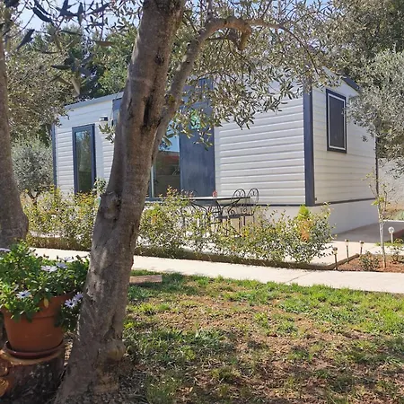 Apartment Mobile House Alba